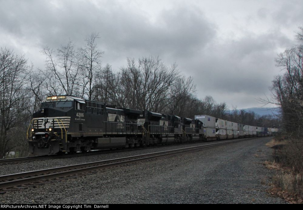 NS 4286 leads  21M